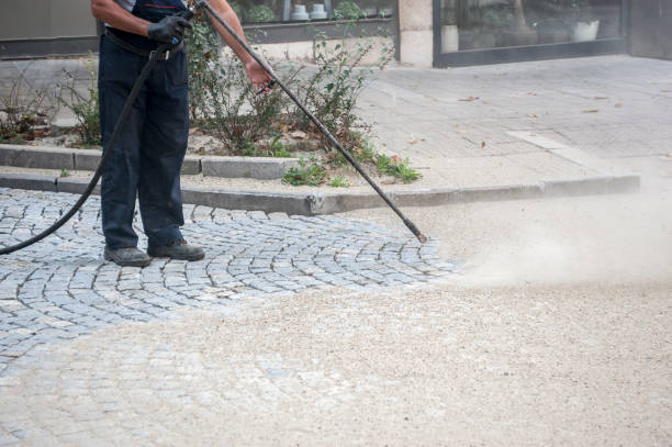 Best House Exterior Washing  in Sterling Heights, MI