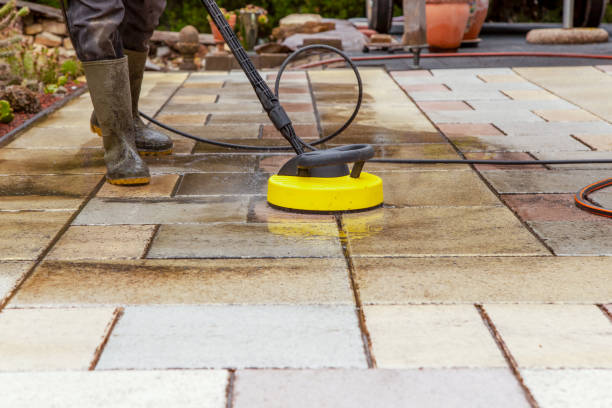 Best Spring Cleaning  in Sterling Heights, MI