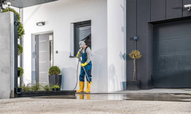 Best Sidewalk and Walkway Cleaning  in Sterling Heights, MI