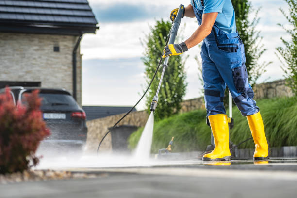 Best Driveway Pressure Washing  in Sterling Heights, MI