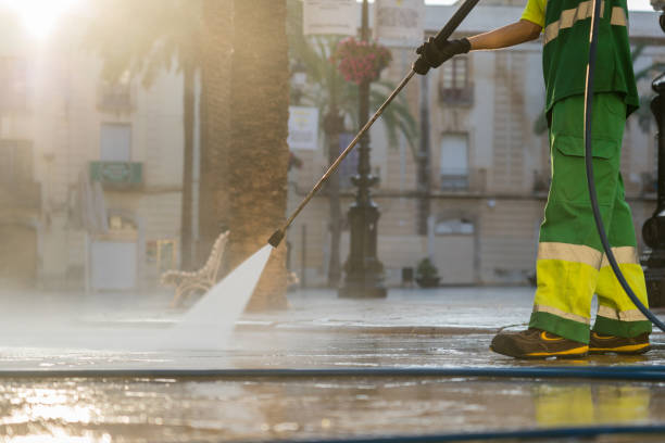 Best Dumpster Area Cleaning  in Sterling Heights, MI
